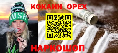 молекула духа Кингисепп