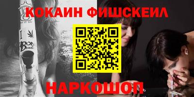 молекула духа Кингисепп