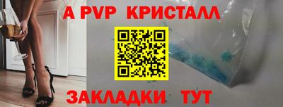 молекула духа Кингисепп