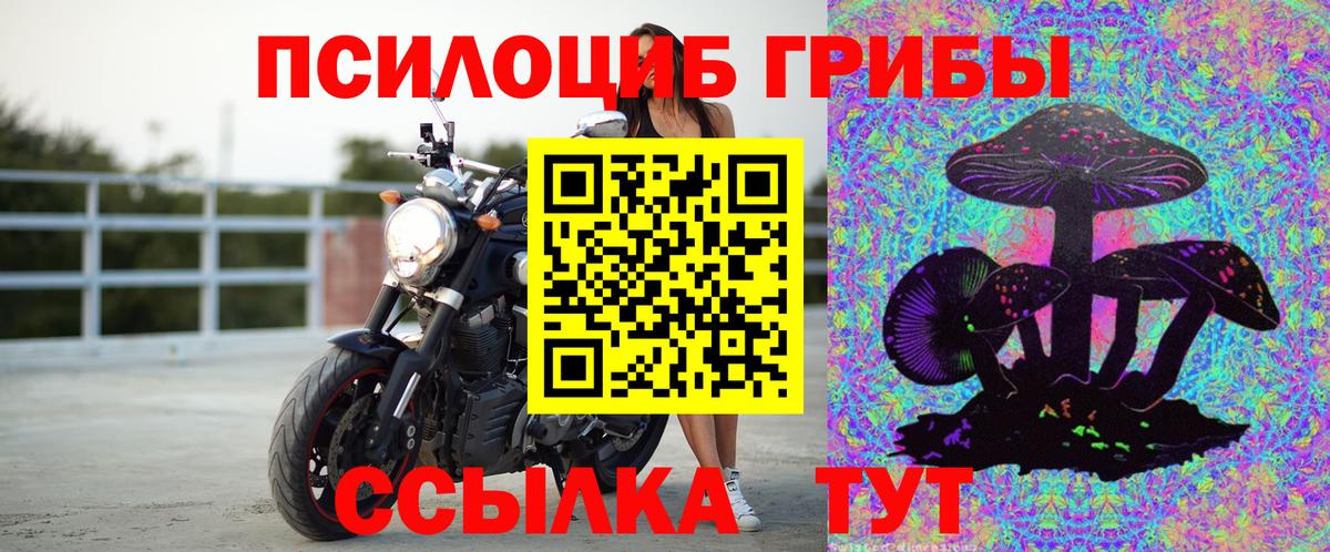 сколько стоит  Вход с VPN  Клинцы  Псилоцибиновые грибы Psilocybine cubensis  Псилоцибиновые грибы прущие грибы 