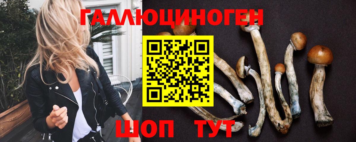 Галлюциногенные грибы Psilocybine cubensis Клинцы